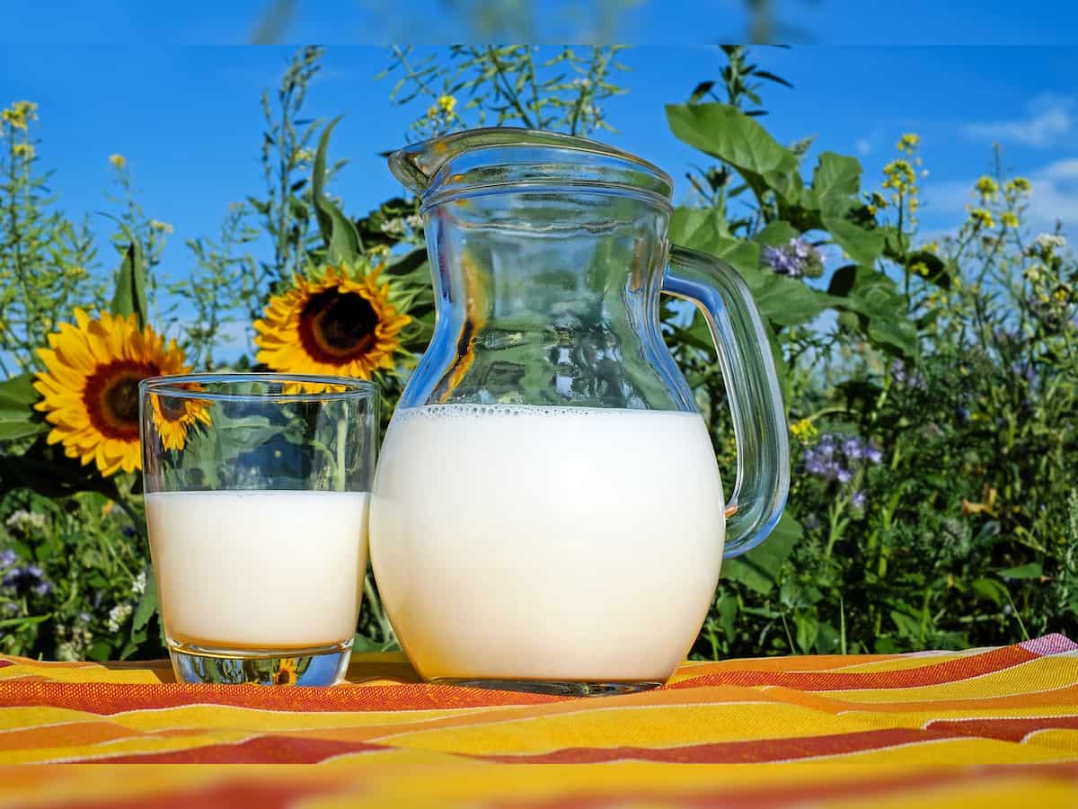 World Milk Day 2023: Lakhs of dairy farmers of 22 milk producer companies pledge to boost milk output