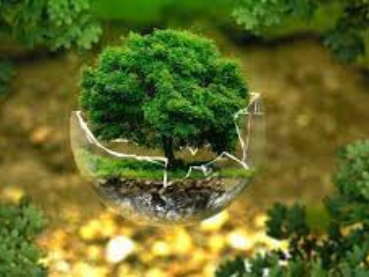 World Environment Day 2023: Effective ways to cut carbon footprint and reduce plastic waste