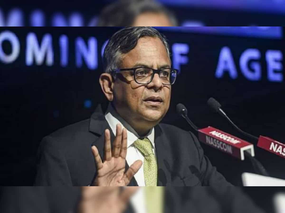 Tata Consumer domestic business to see high growth, open to acquisitions in food and beverages: Chandrasekaran 