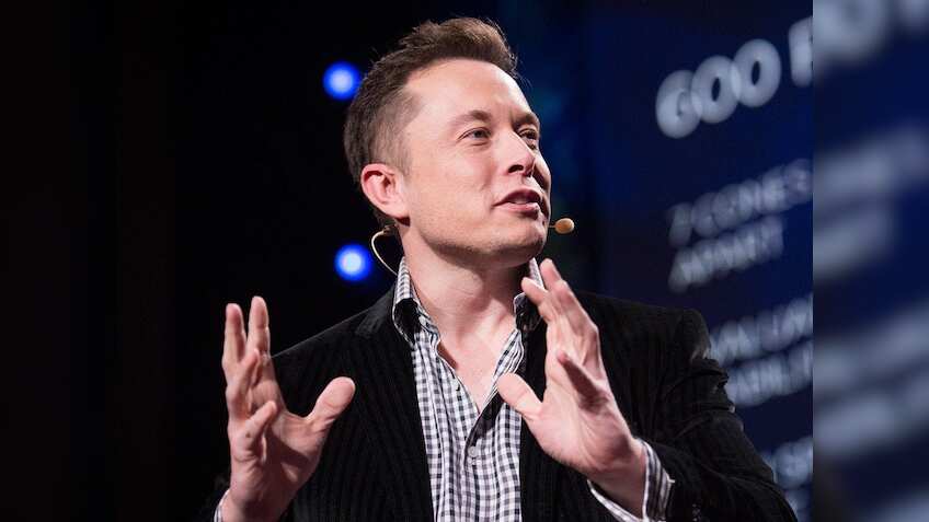Verified content creators on Twitter to be paid for ads in replies, says Elon Musk