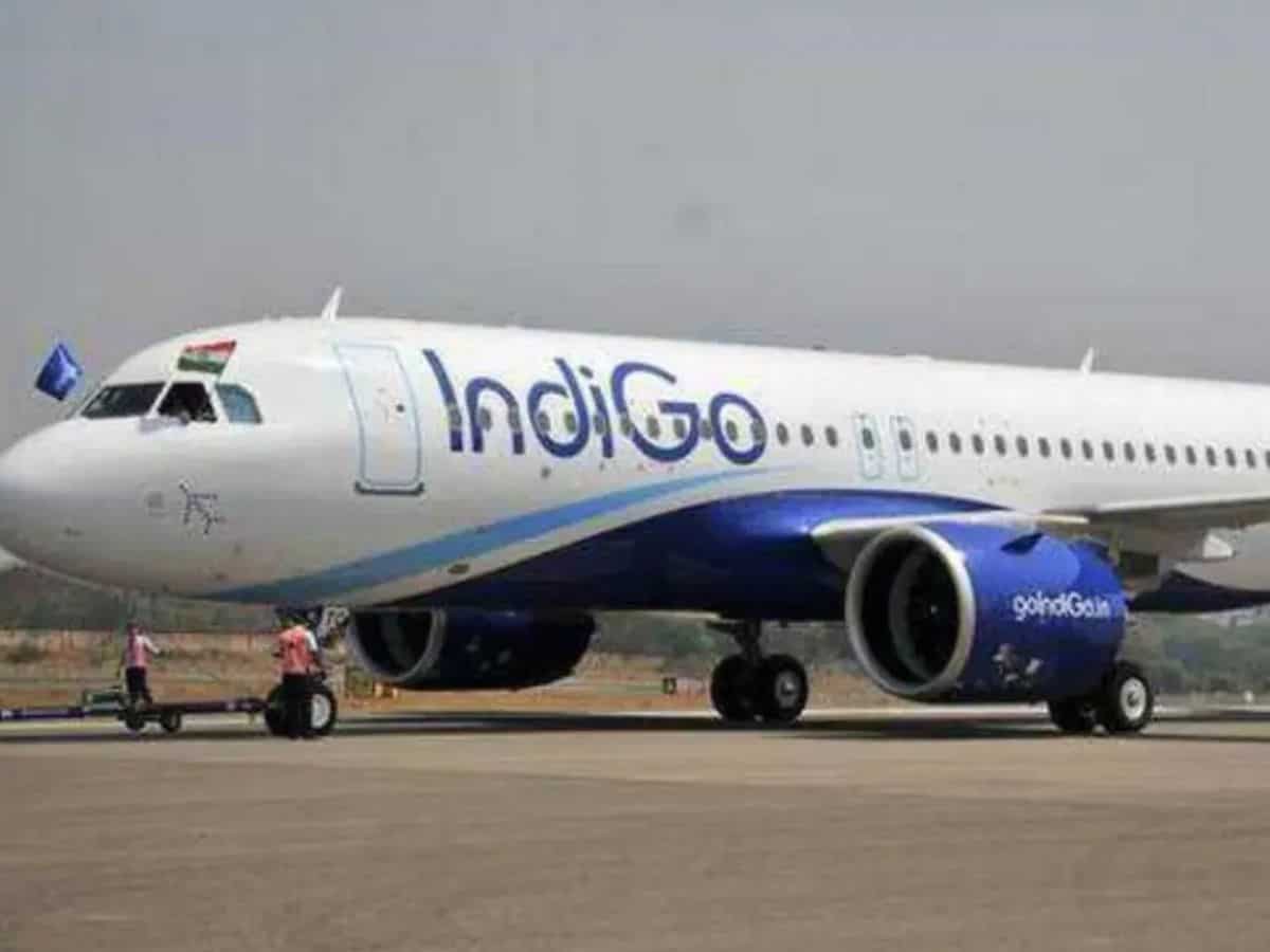 IndiGo to start codeshare flights to US Zee Business