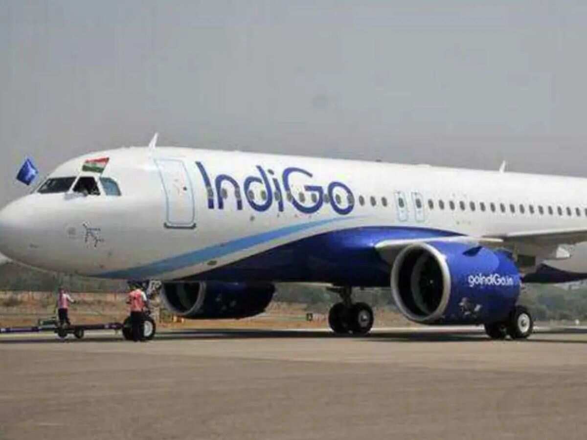 IndiGo to start codeshare flights to US