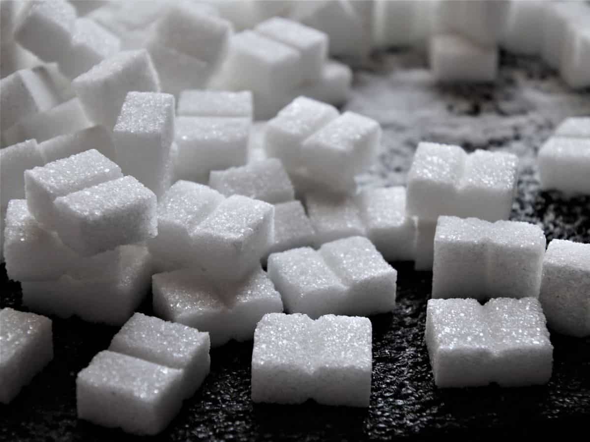 Yoga Sugar Share Price