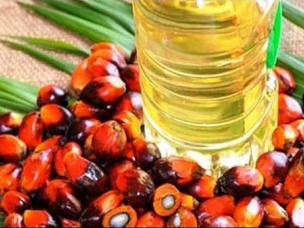 India's palm oil imports fall 15% to 4.39 lakh tonne in May