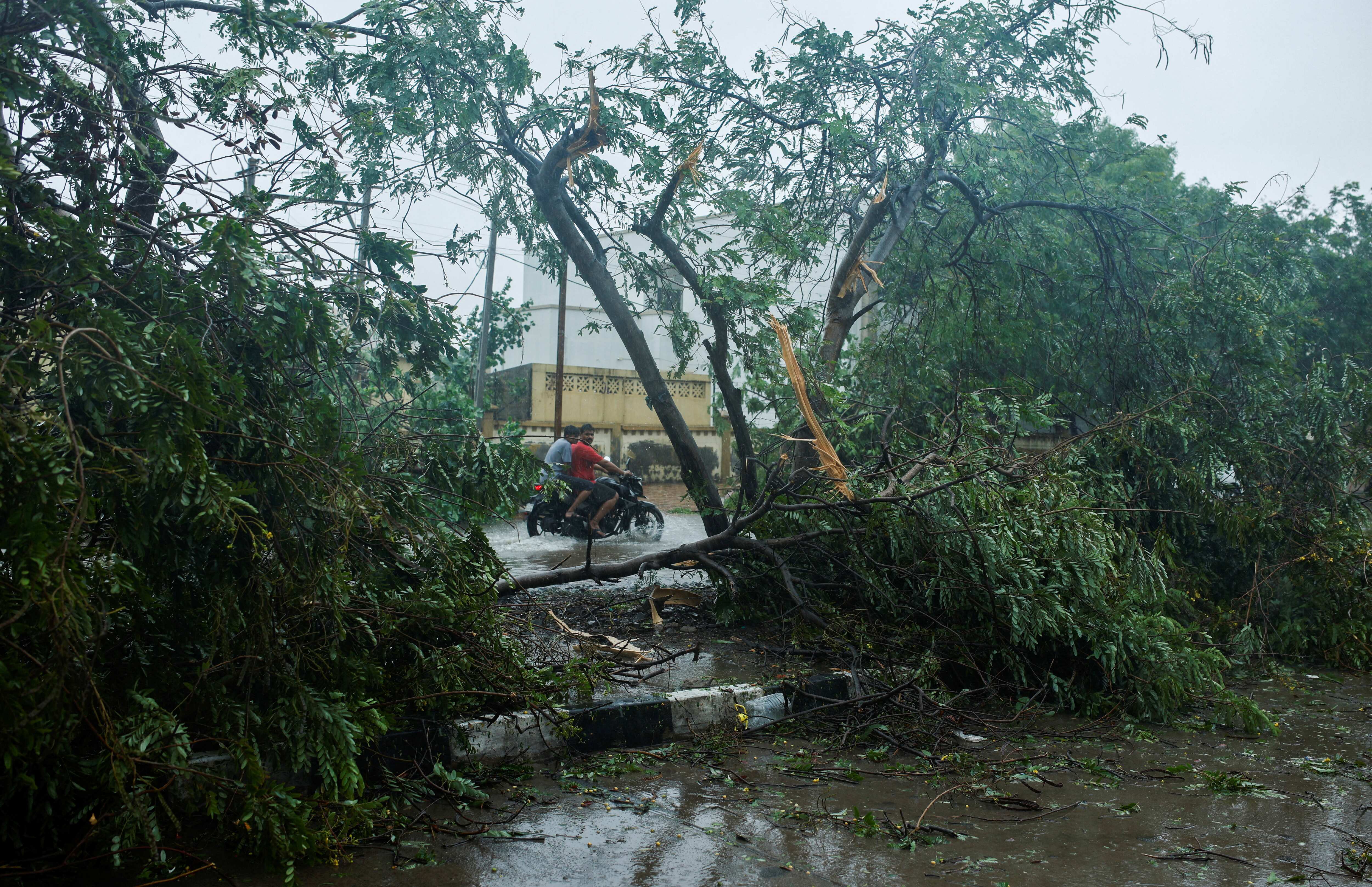 Cyclone Biparjoy: 119 teams of PGVCL working to restore power supply in Gujarat's Jamnagar