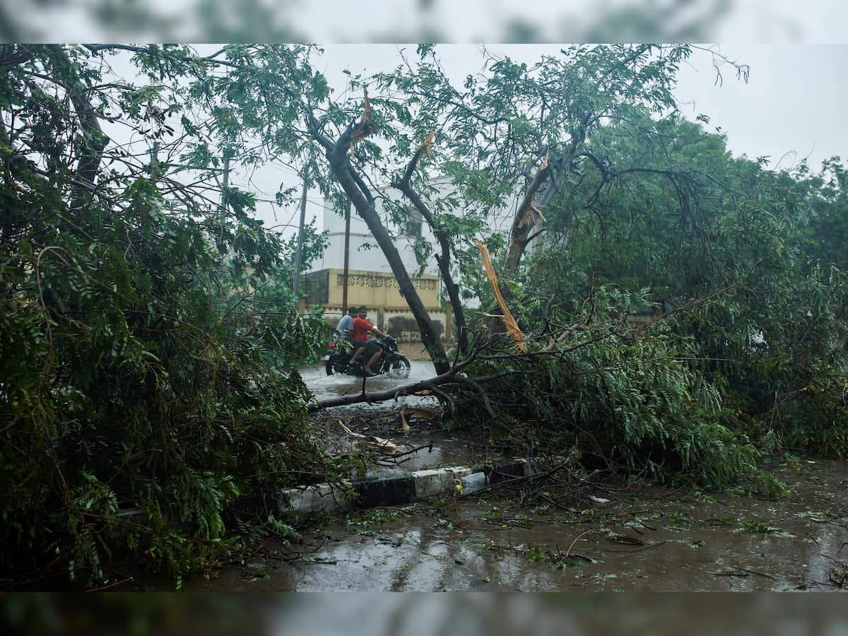 Cyclone Biparjoy: 119 teams of PGVCL working to restore power supply in Gujarat's Jamnagar