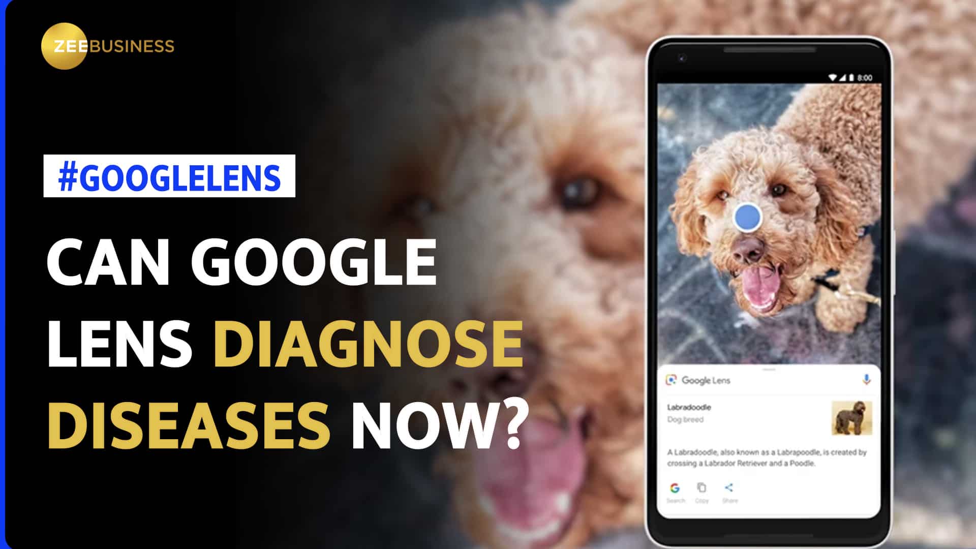 Google Lens Can Now Detect Skin Conditions What Is It And How To Use