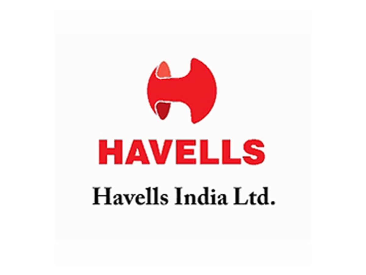 Havells India shareholders seek clarification over remuneration to CEO Anil Rai Gupta