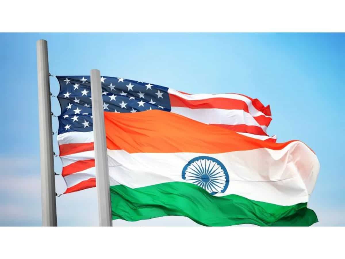 Diaspora says its expertise in healthcare, IT boosts soft power paradigm between India, US