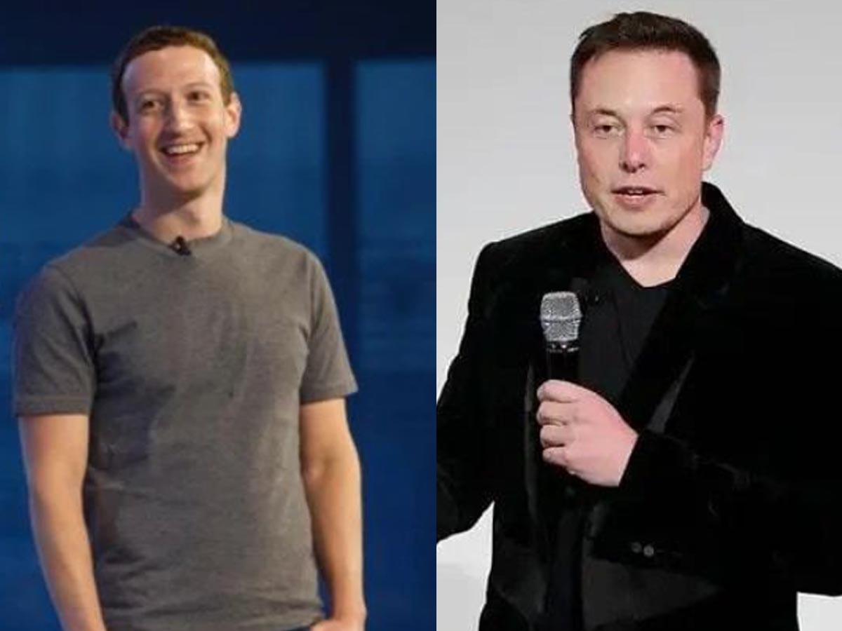 Elon Musk vs Mark Zuckerberg cage fight: Will they fight for real? What ...