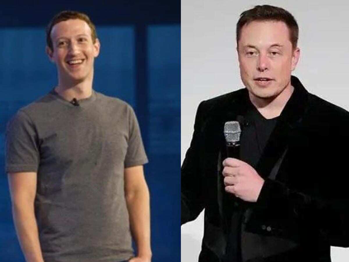 Elon Musk vs Mark Zuckerberg cage fight: Will they fight for real? What we know so far