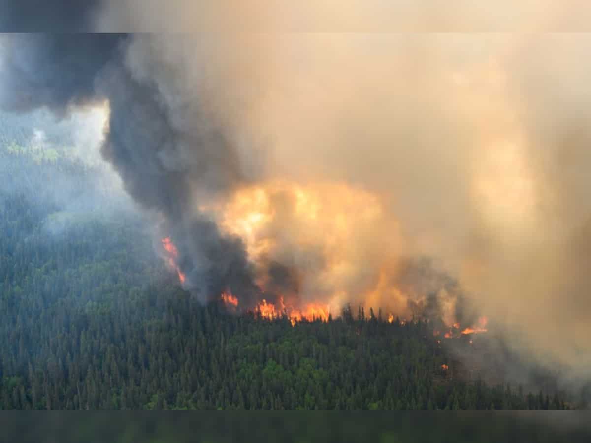As Canada's wildfires intensify, recruiting firefighters is tougher