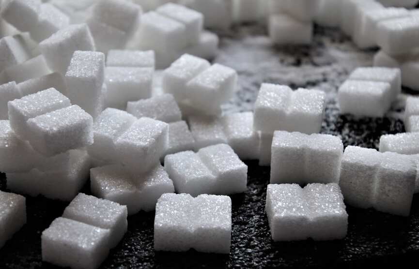 India in bilateral talks with Brazil to resolve sugar dispute at WTO