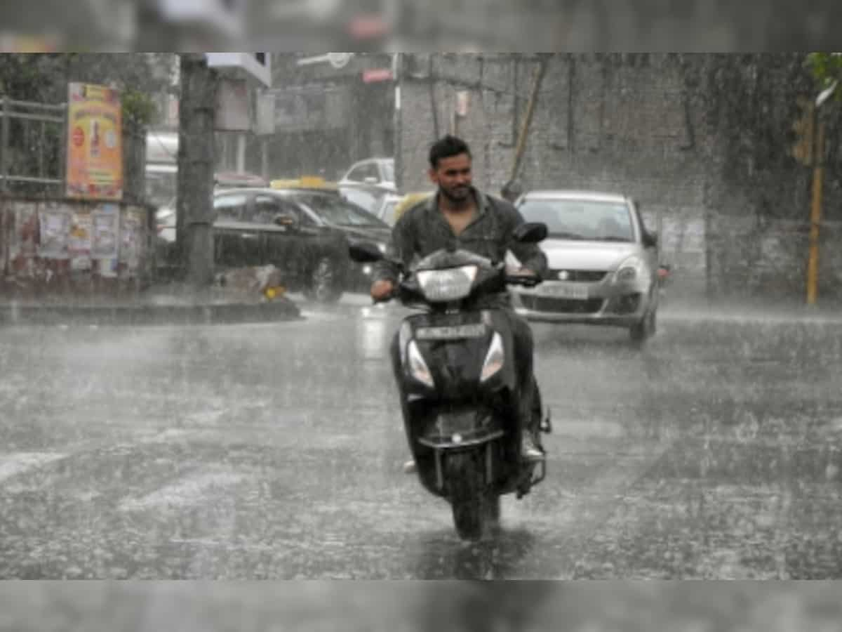 Rain lashes several parts of Haryana, Punjab