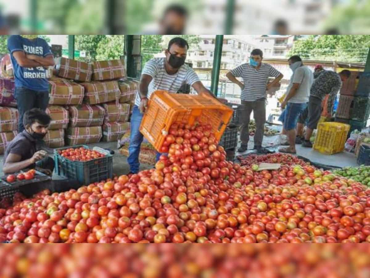 Tomato prices soar across country, cost Rs 80-100 per kg— here's why