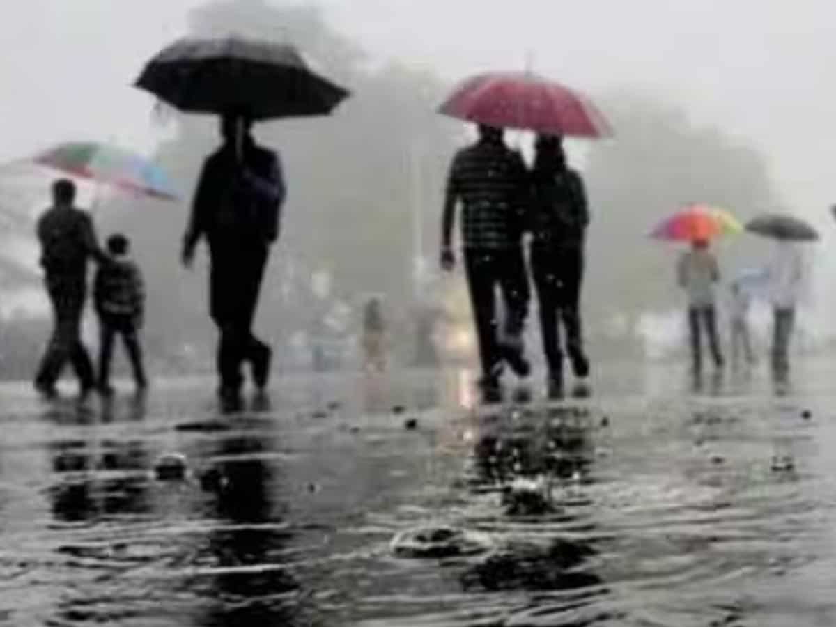 India monsoon latest updates: Your complete guide to weather office IMD's heavy rainfall warnings for many regions