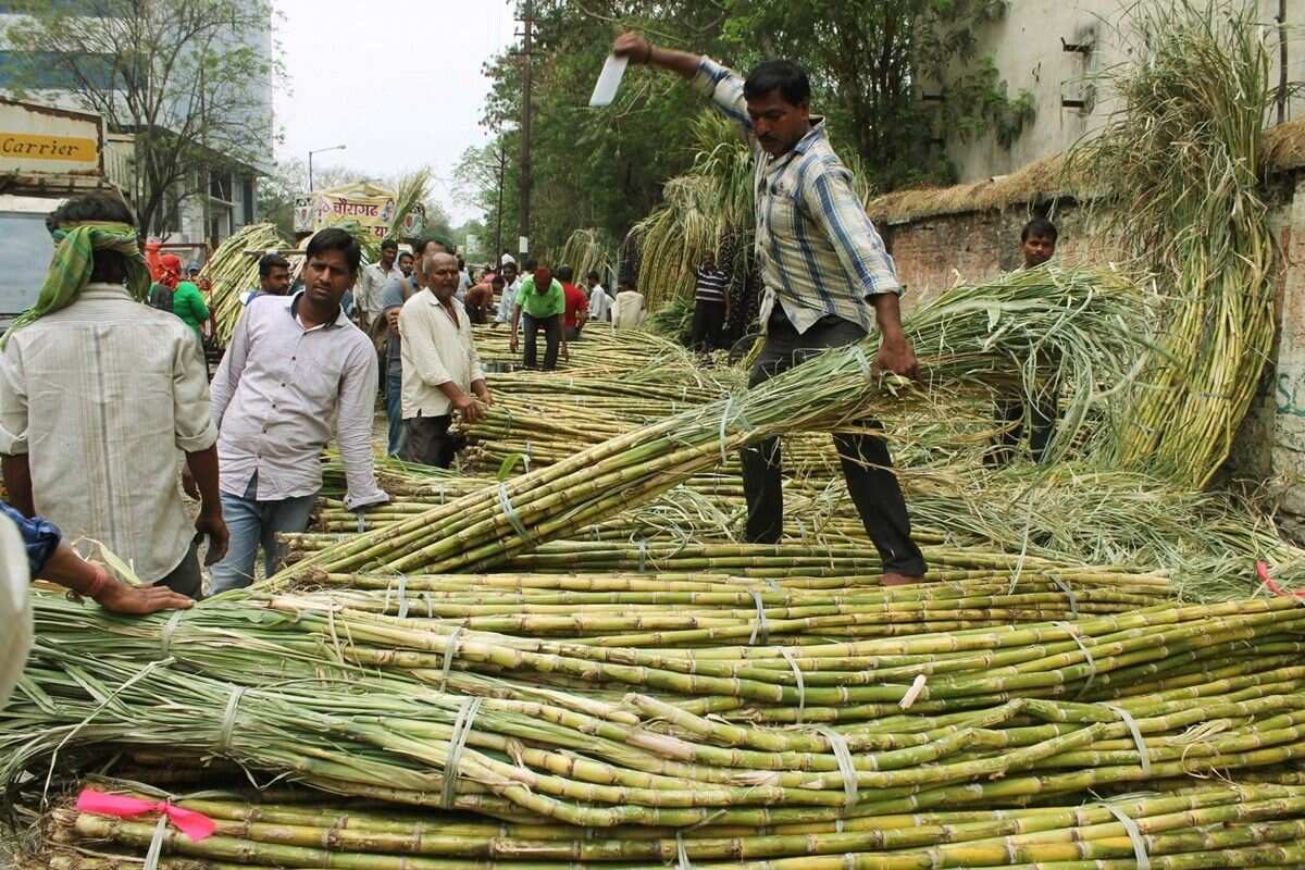 Commodity Live: Good news for 5 crore sugarcane farmers, government announced to increase FRP