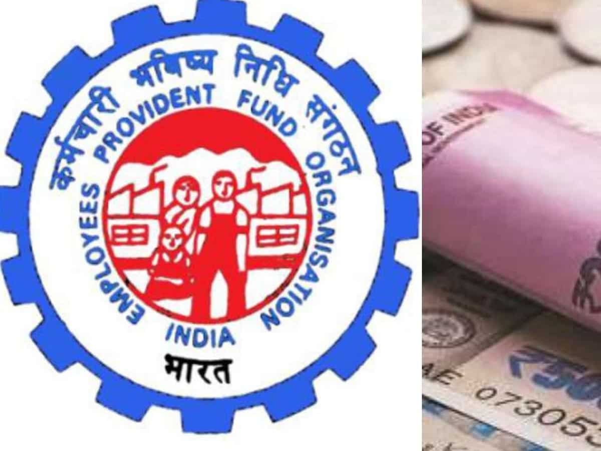 EPFO higher EPS pension calculator: A step-by-step guide on how it works, how to use