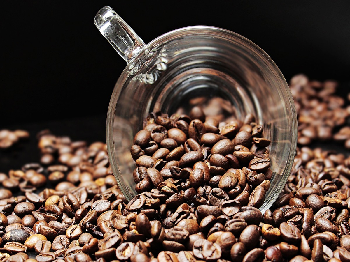 Coffee manufacturer CCL to set up new coffee plant in Andhra Pradesh, create employment opportunities