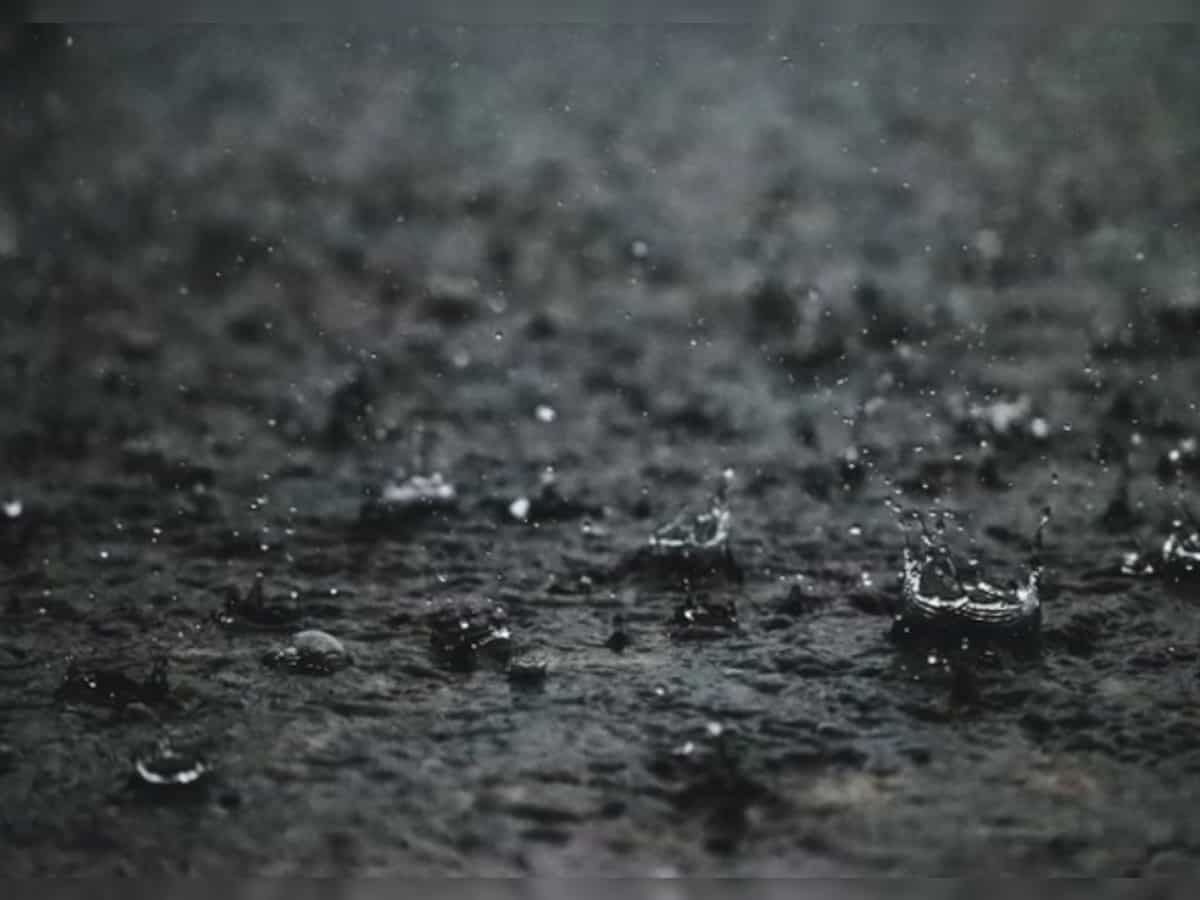 Delhi Weather Alert: Light rain likely in city 