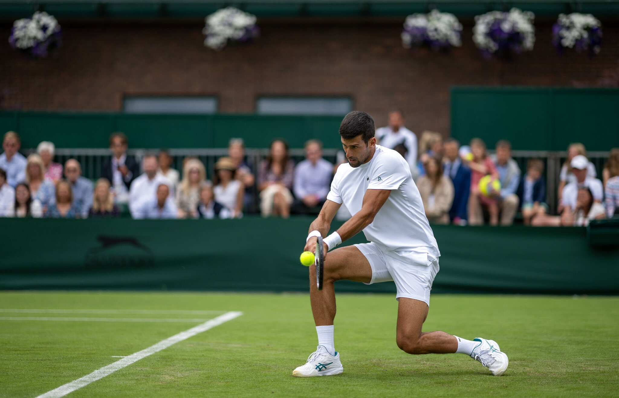 Wimbledon 2023 A golden opportunity for Djokovic to equal Federers record