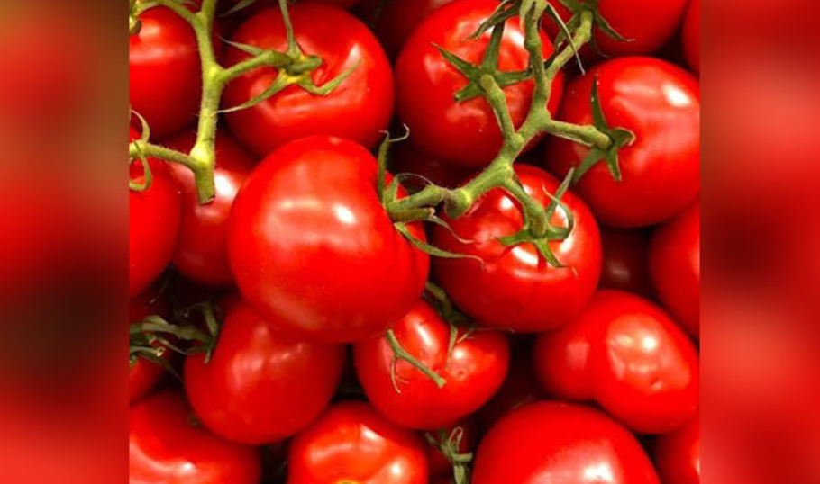 Tamil Nadu government launches tomato sales thru fair price shops to