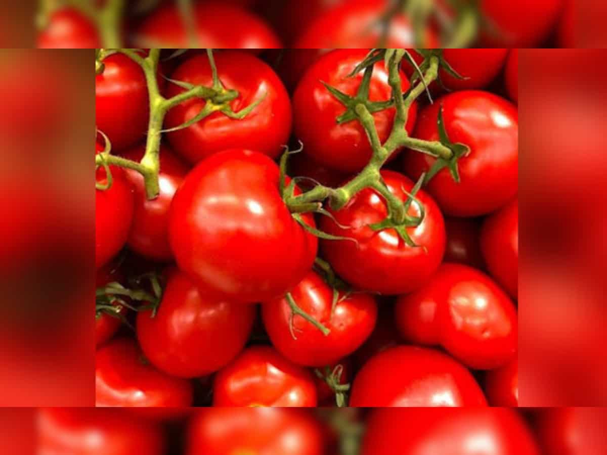 Tamil Nadu government launches tomato sales thru fair price shops to offset prices
