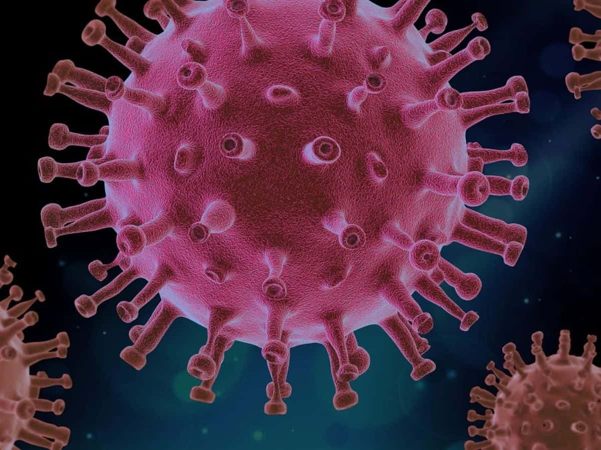 Coronavirus cases: India records 56 new Covid infections, count of active cases 1,453