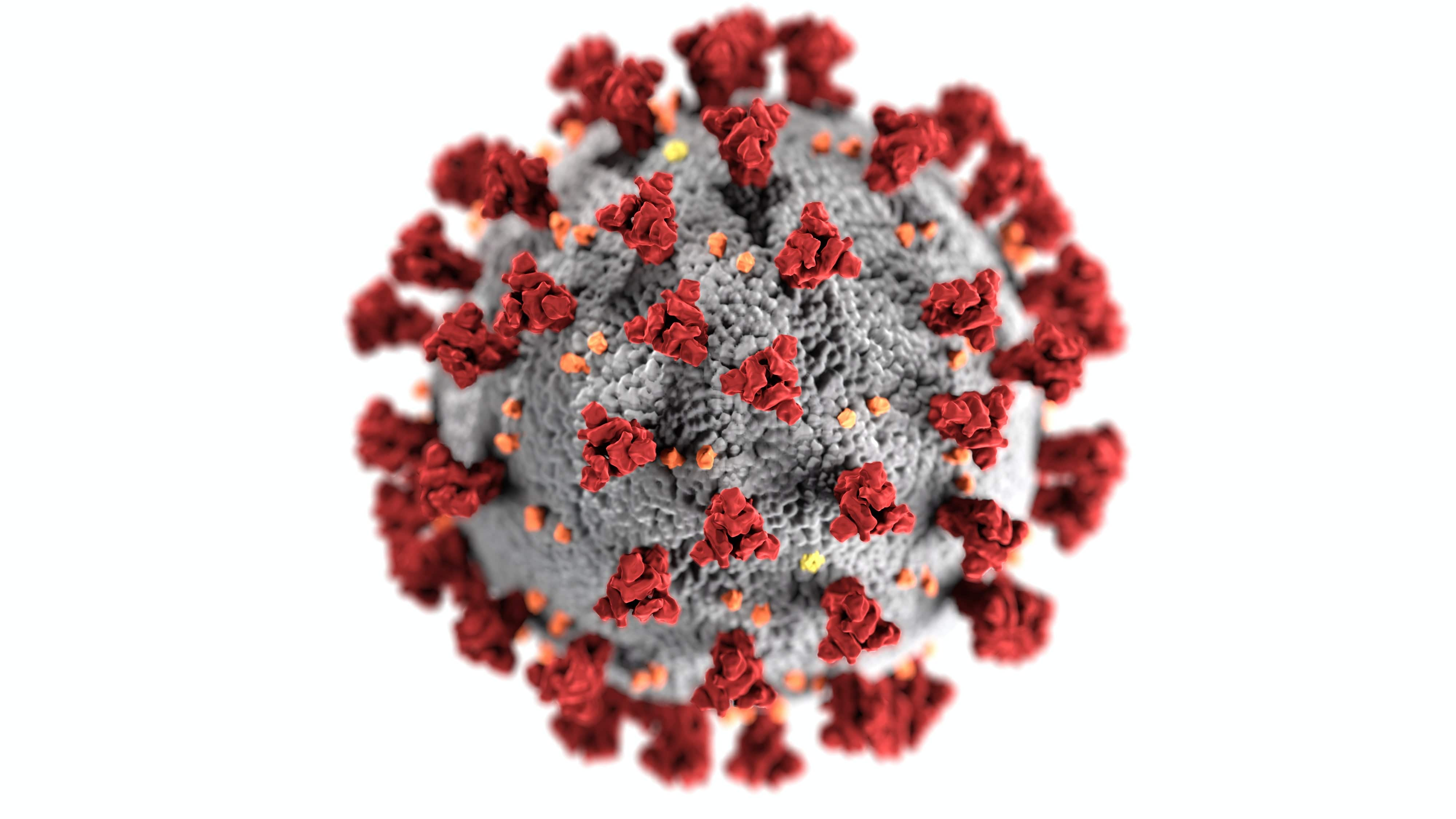 Immune response against “bystander” virus, not SARS-CoV-2, may cause long Covid: Study