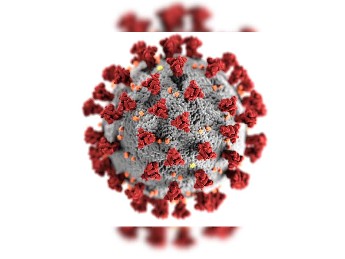 Immune response against "bystander" virus, not SARS-CoV-2, may cause long Covid: Study