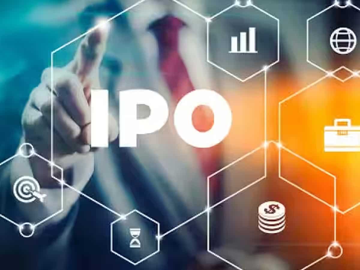 EXPLAINED | What makes a company withdraw or shelve its IPO plan