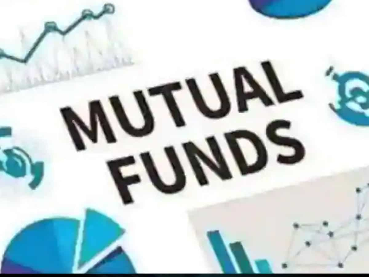 Nippon India Mutual Fund restricts lump-sum subscriptions to small cap ...