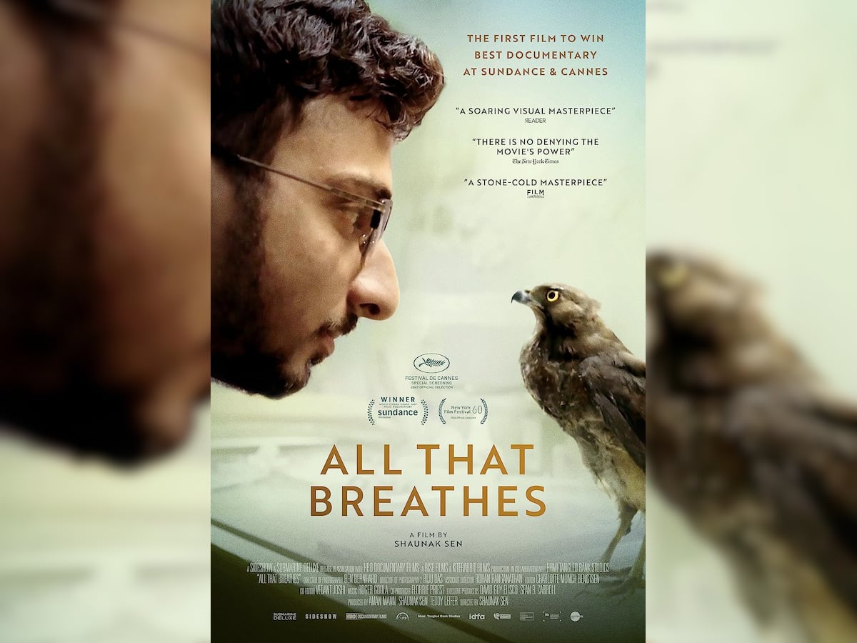 Shaunak Sen's documentary 'All That Breathes' premieres digitally in India on JioCinema