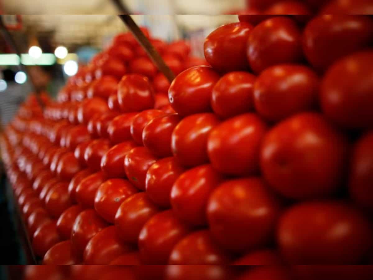 Government reduces subsidised rate of tomato to Rs 80/kg with immediate effect in Delhi-NCR, other locations