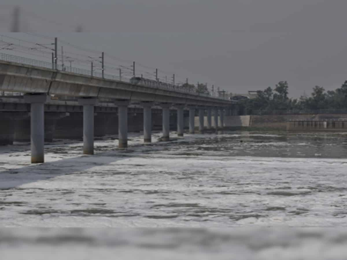 Yamuna water level in Delhi touches 205.94 metres, still above danger mark