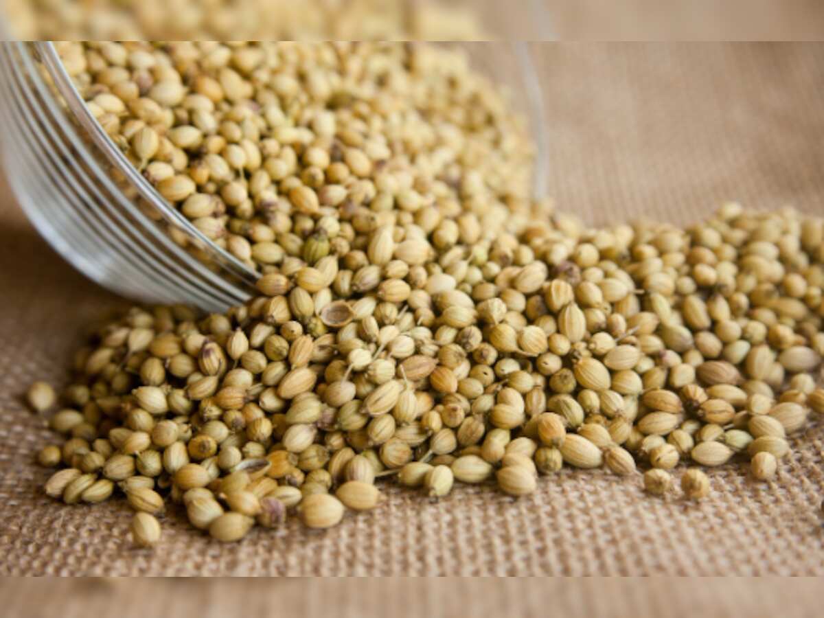 Coriander futures rise on higher demand today