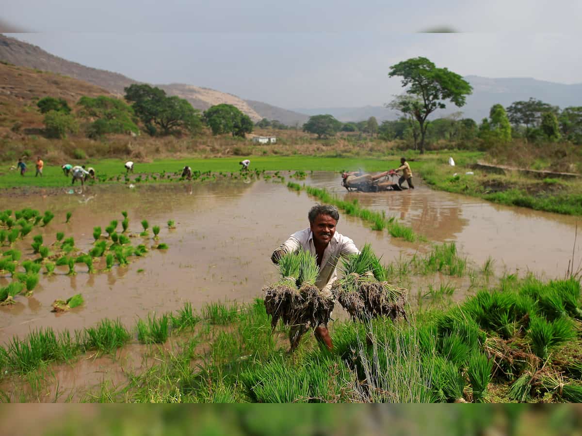 Why Indian farmers worry despite 'average' monsoon rains