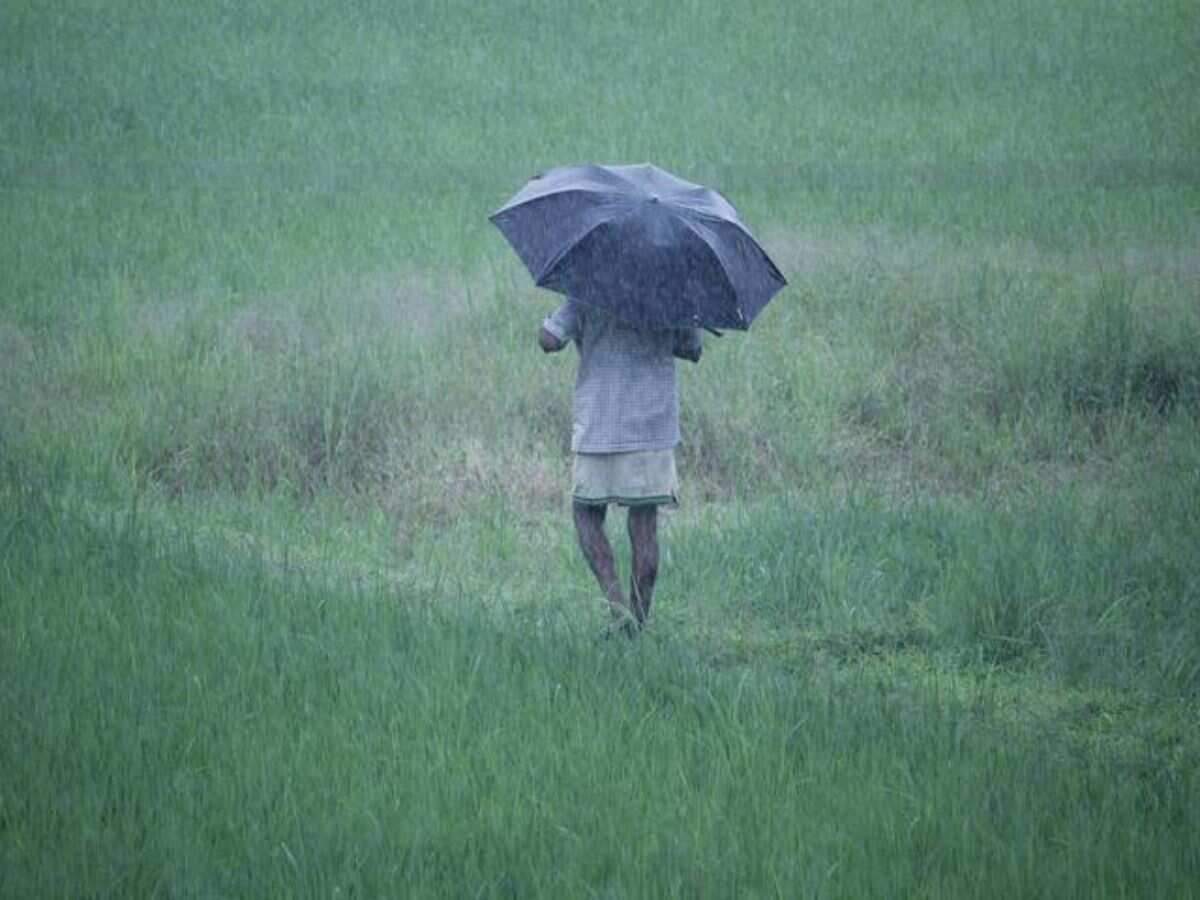 Weather Update: Rains lash Telangana for second day; govt gears up to tackle situation