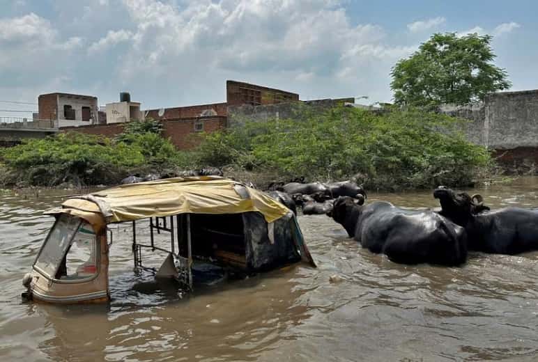 Yamuna river floods India's holy cities of Mathura, Vrindavan after heavy rainfall