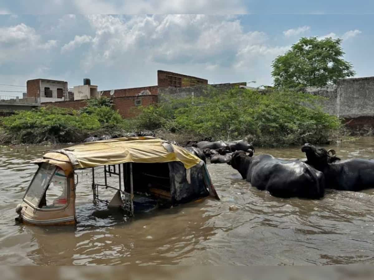 Yamuna river floods India's holy cities of Mathura, Vrindavan after heavy rainfall