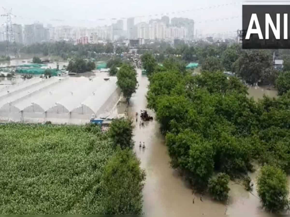 Noida Flood News: Around 200 people evacuated from Hindon banks