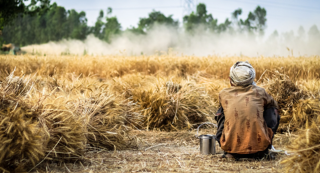 PM Kisan Yojana 14th installment released: How to