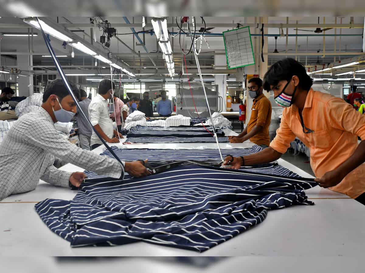 Indians may soon be able to shop for 'INDIAsize' garments, says textile secretary Rachna Shah