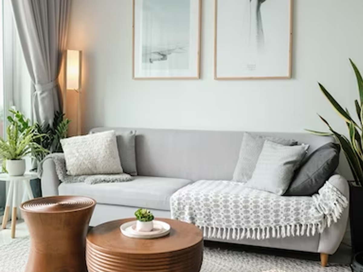 Controlling humidity to improving indoor air quality, tips to manage monsoon allergies