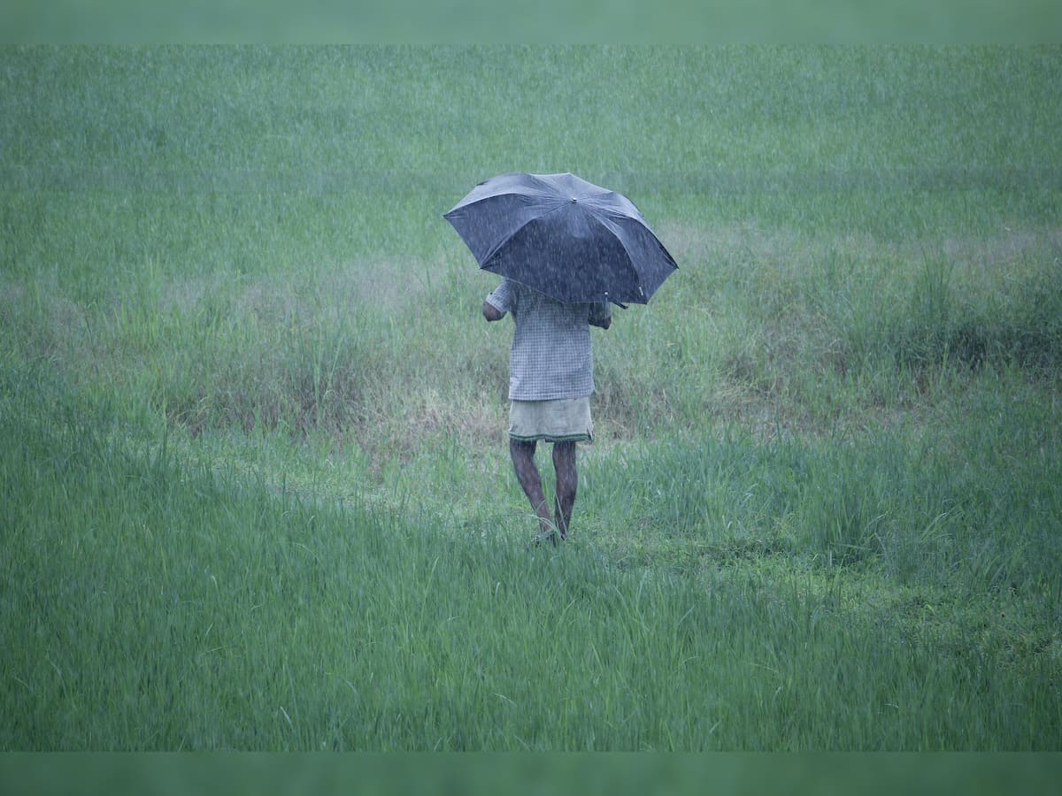 Weather Update: Rain lashes south Odisha, one person dead in Malkangiri 