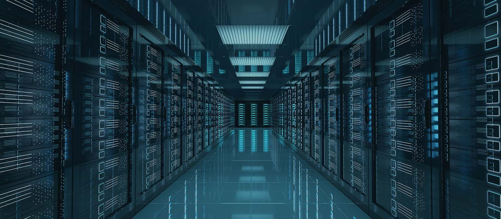 Netweb Technologies shares make a stellar market debut; here is what ...