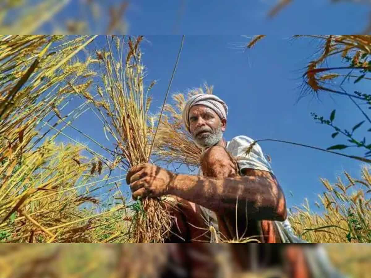 PM Modi to transfer Kisan-Samman Nidhi to 9 crore farmers from Rajasthan's Sikar on July 27