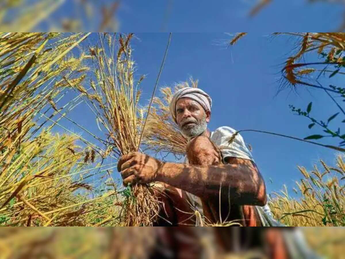 PM Modi to transfer Kisan-Samman Nidhi to 9 crore farmers from Rajasthan's Sikar on July 27