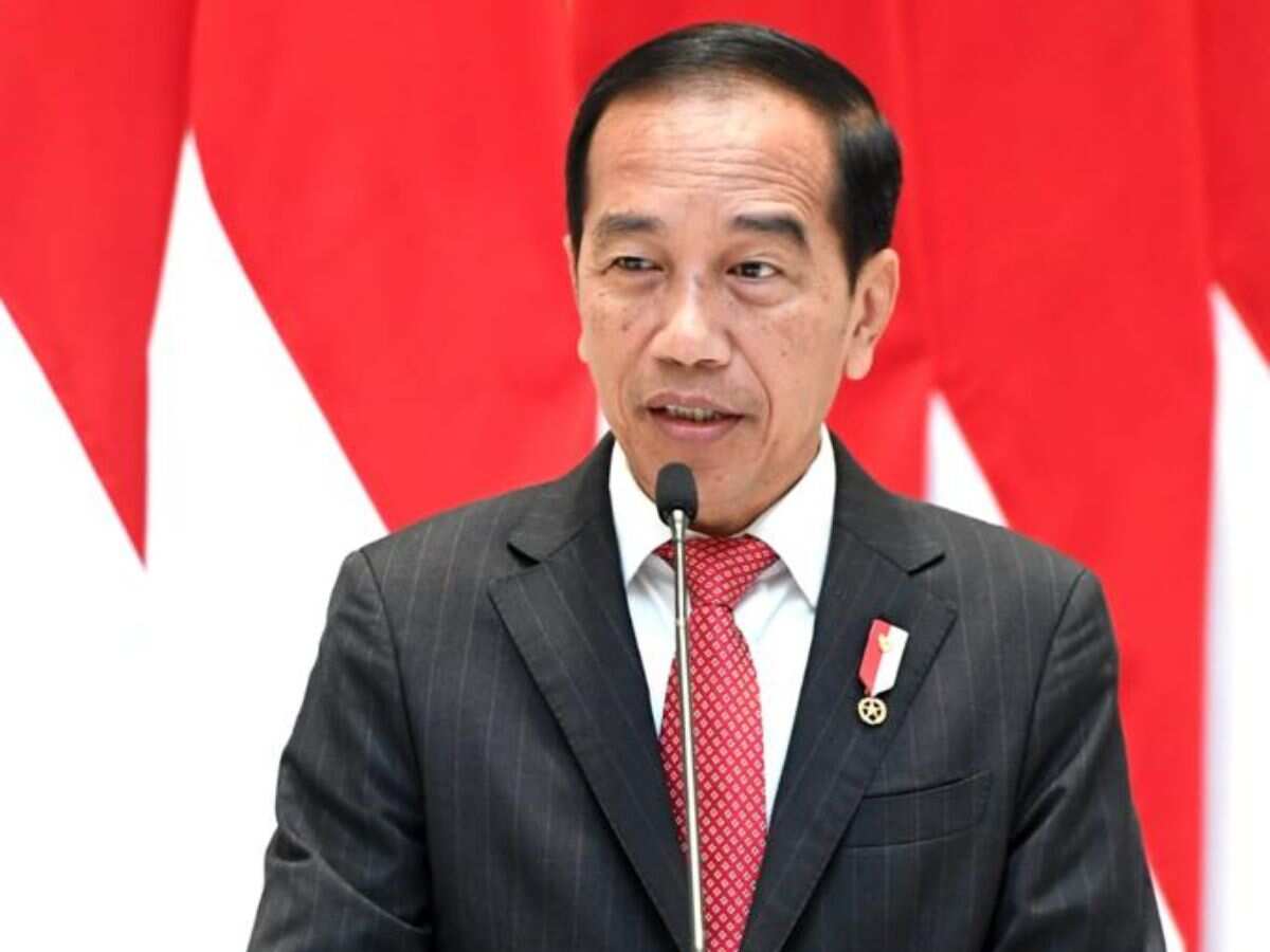 Indonesian President Widodo arrives in China, plans talks with Chinese leader Xi