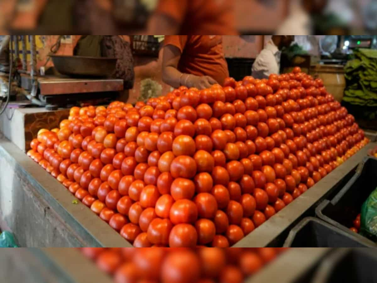 NCCF sells 560 tonnes tomatoes in last 15 days at subsidised rate in Delhi, UP, Rajasthan; sale continues at Rs 70/kg